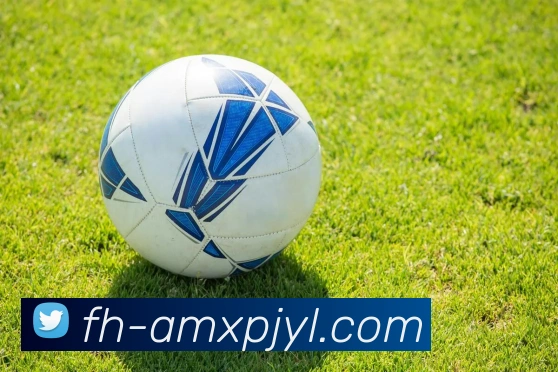 澳门新葡京娱乐发展历程